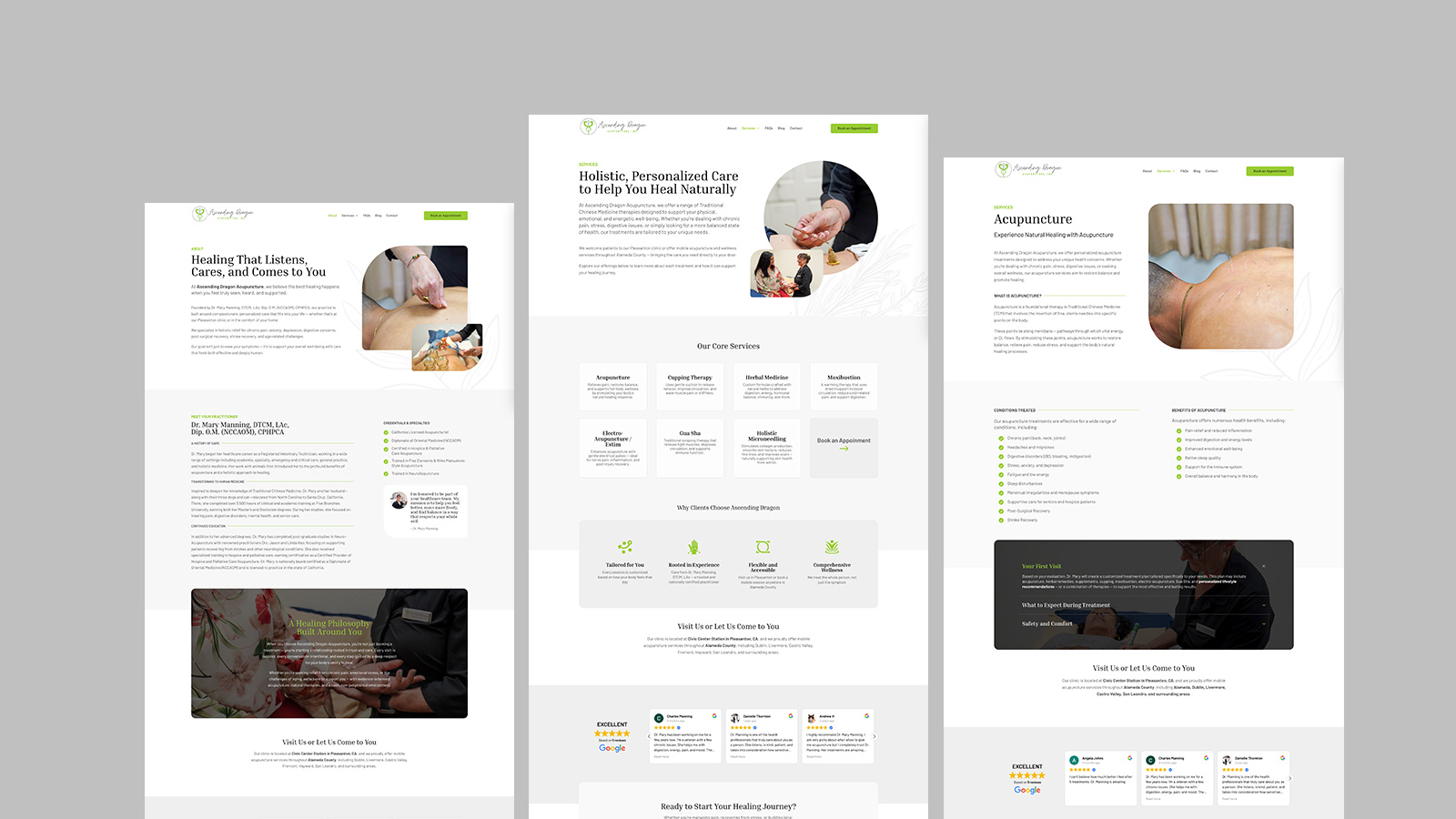 Ascending Dragon Acupuncture — project gallery image 2, Website Design